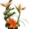contemporary floral arrangements, tropical floral arrangement, Birds of Paradise, orange lilies