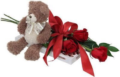 teddy bear rose delivery toronto