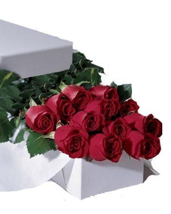 One Dozen Boxed Roses